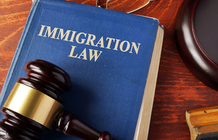 foreign workers and immigration policy