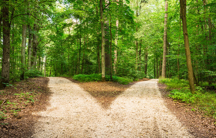 Talent acquisition: strategic partner or service function?
