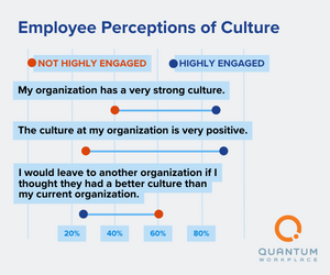 employee perceptions of culture