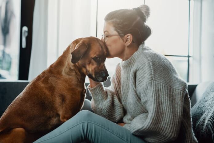 The 'culture-changing' effect of pet bereavement leave