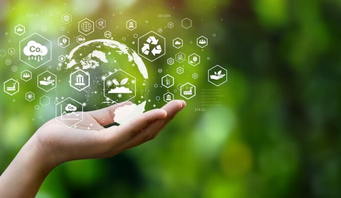 For a more sustainable workplace, adopt these strategies